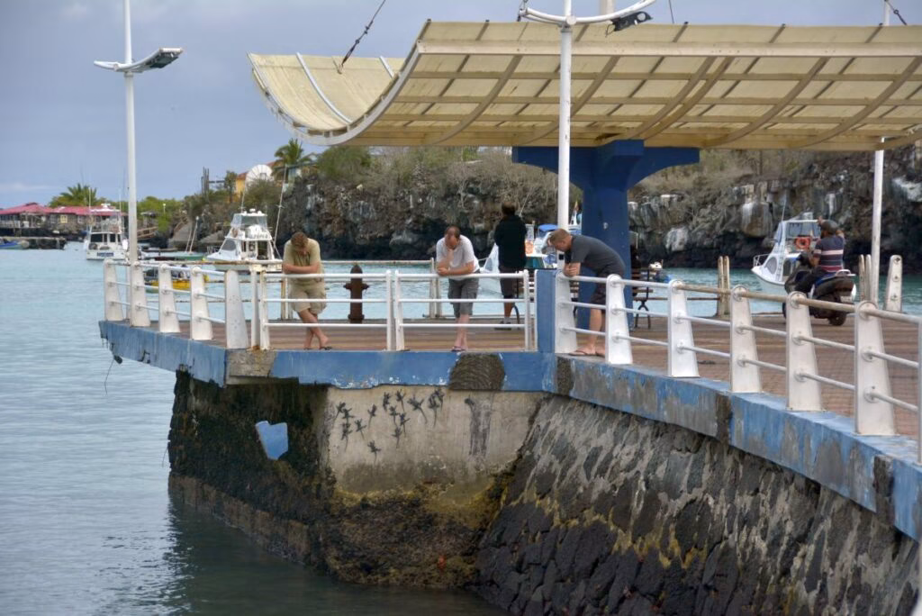 Complete Travel Guide to Galapagos for solo travelers.