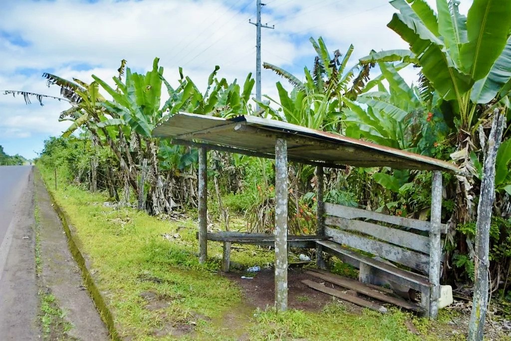 The bus stops in Santa Cruz Galapagos