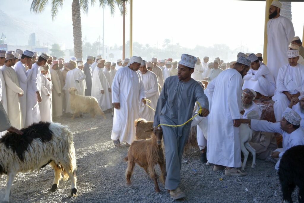 How to get to Nizwa from Muscat to visit Nizwa Goat Market unique culture event in Oman.