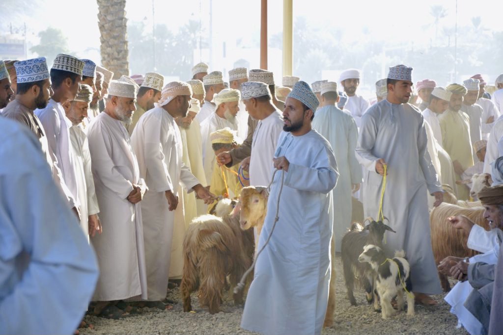market goat in Oman