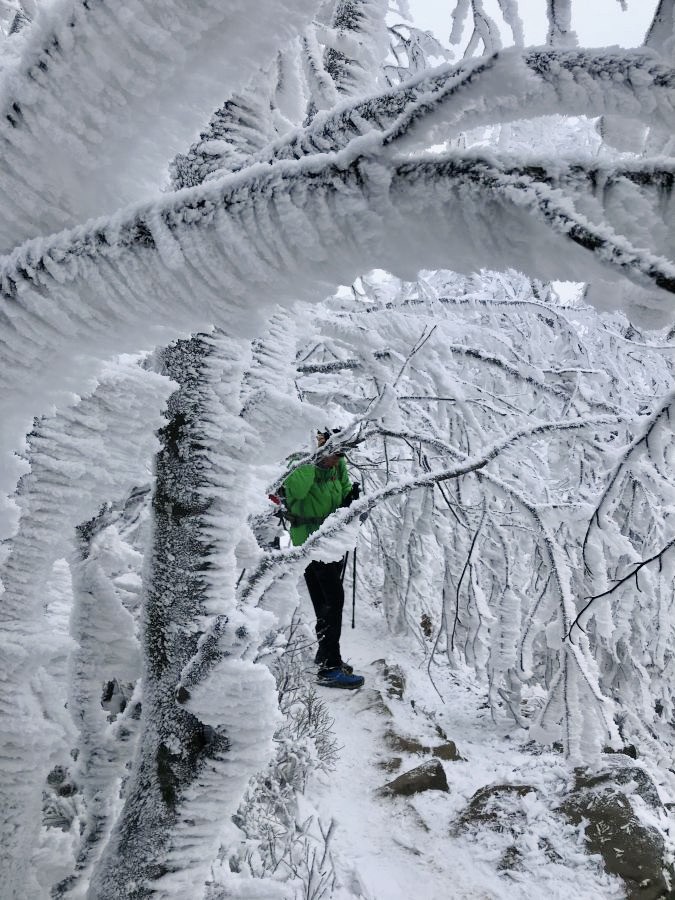 Smerek peak in Bieszczady