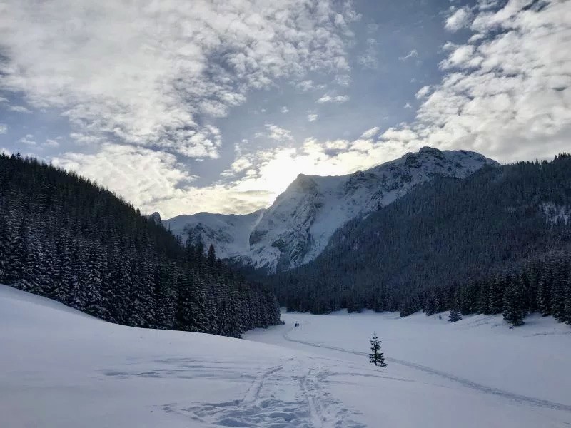 Mountaineering course in winter