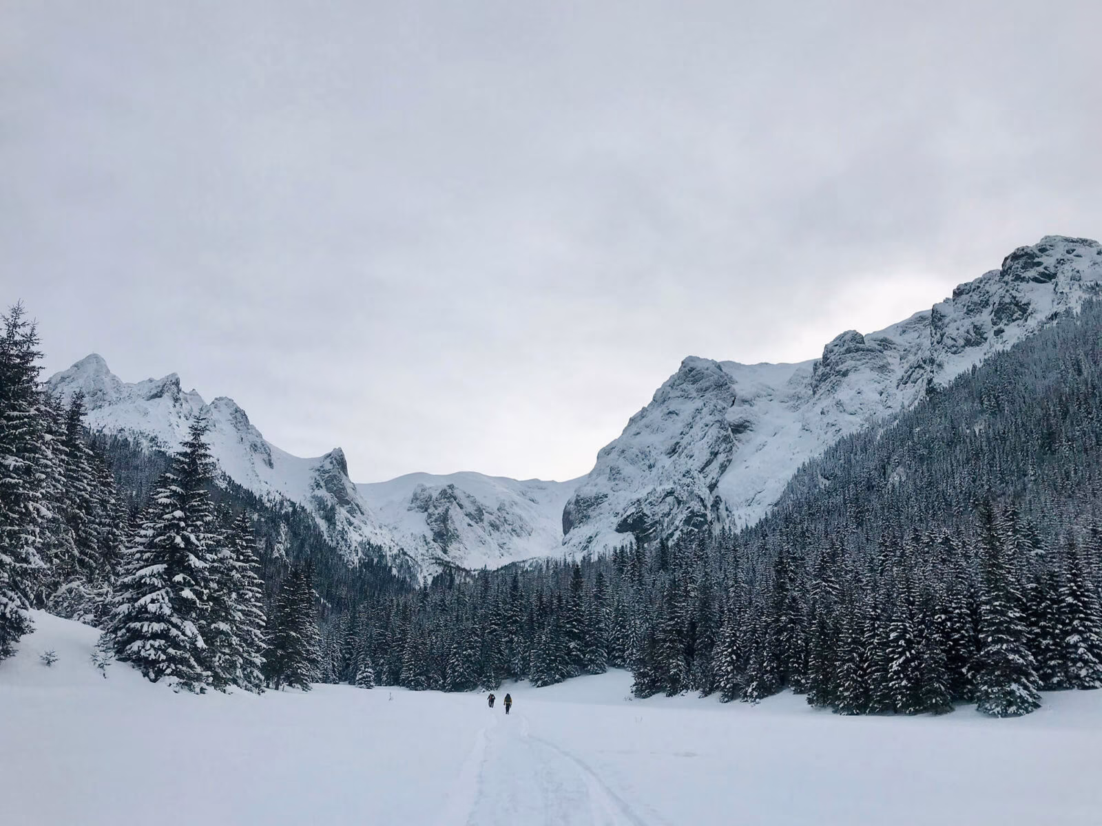 Why to take winter mountaineering course?