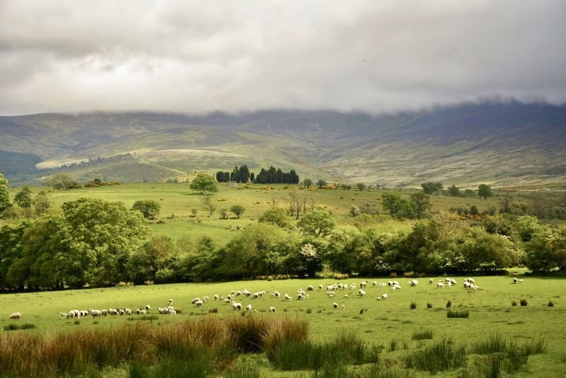 wicklow in ireland
