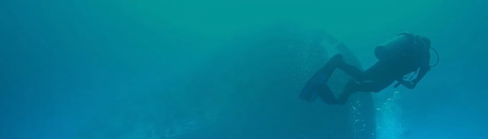 Best of Galapagos snorkeling in crystal waters of San Cristobal Island in Galapagos.