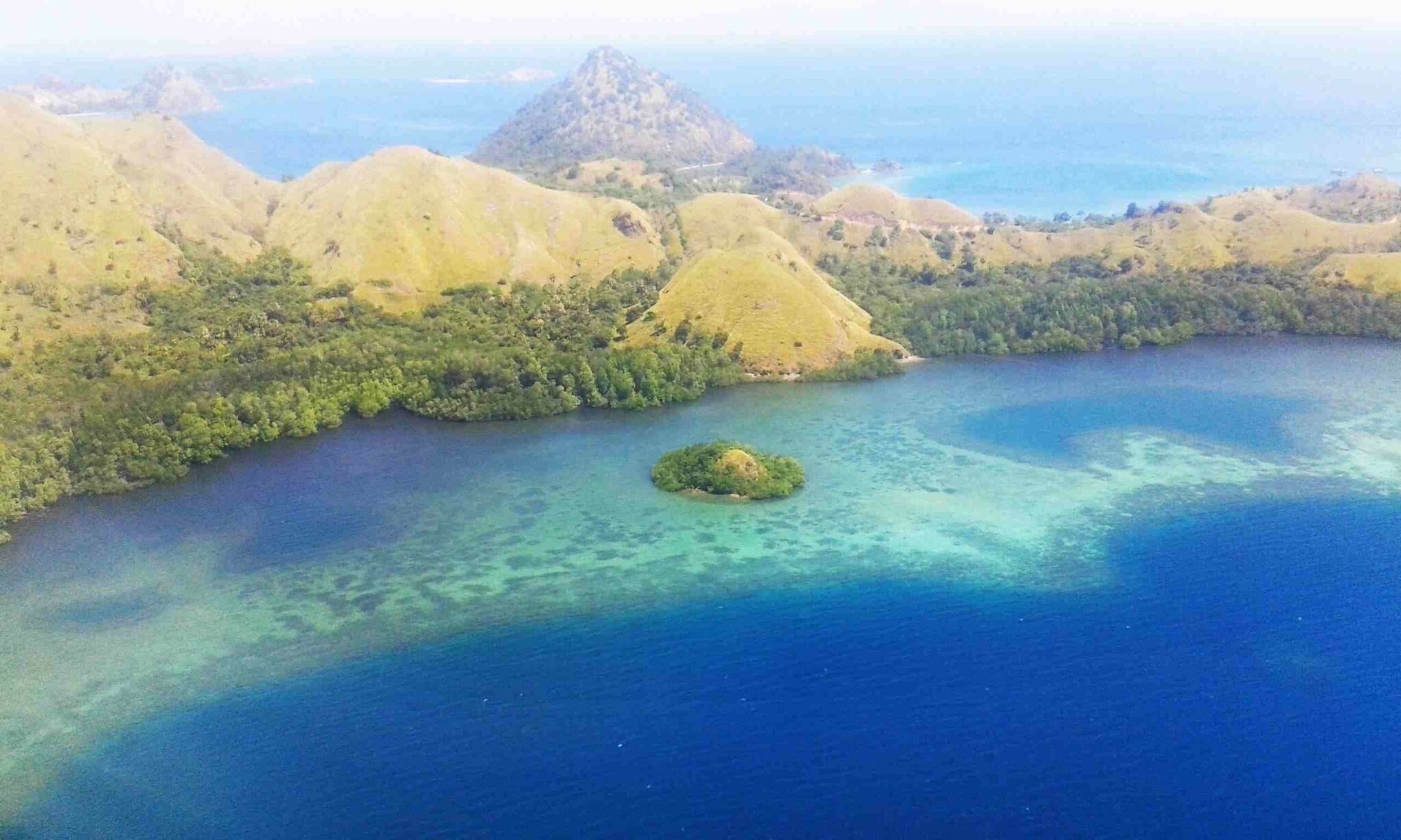 How to visit Komodo & Rinca Islands in wild Indonesia.