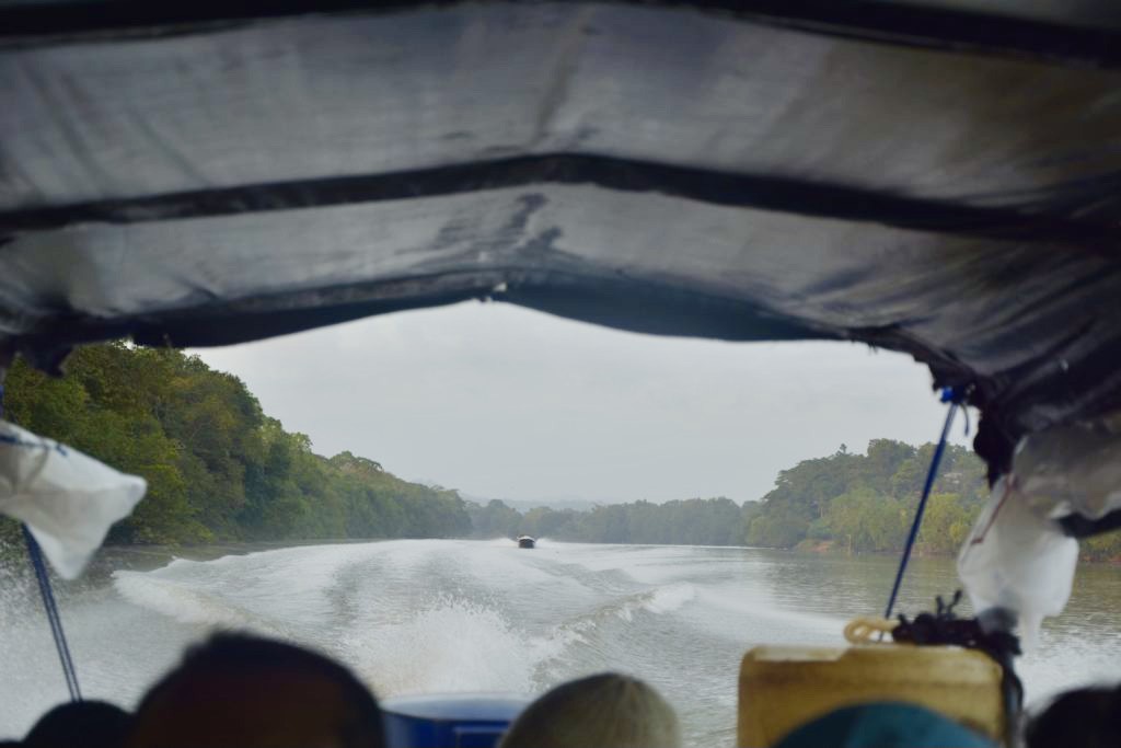 View from a Panga boat