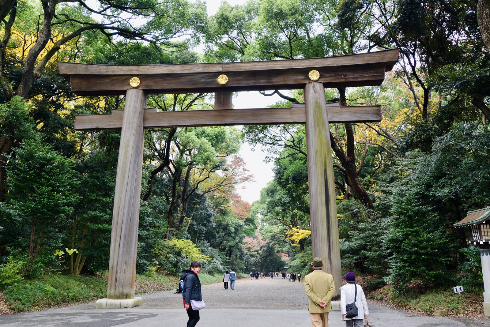 Wooden gate outside Meiji Jingu