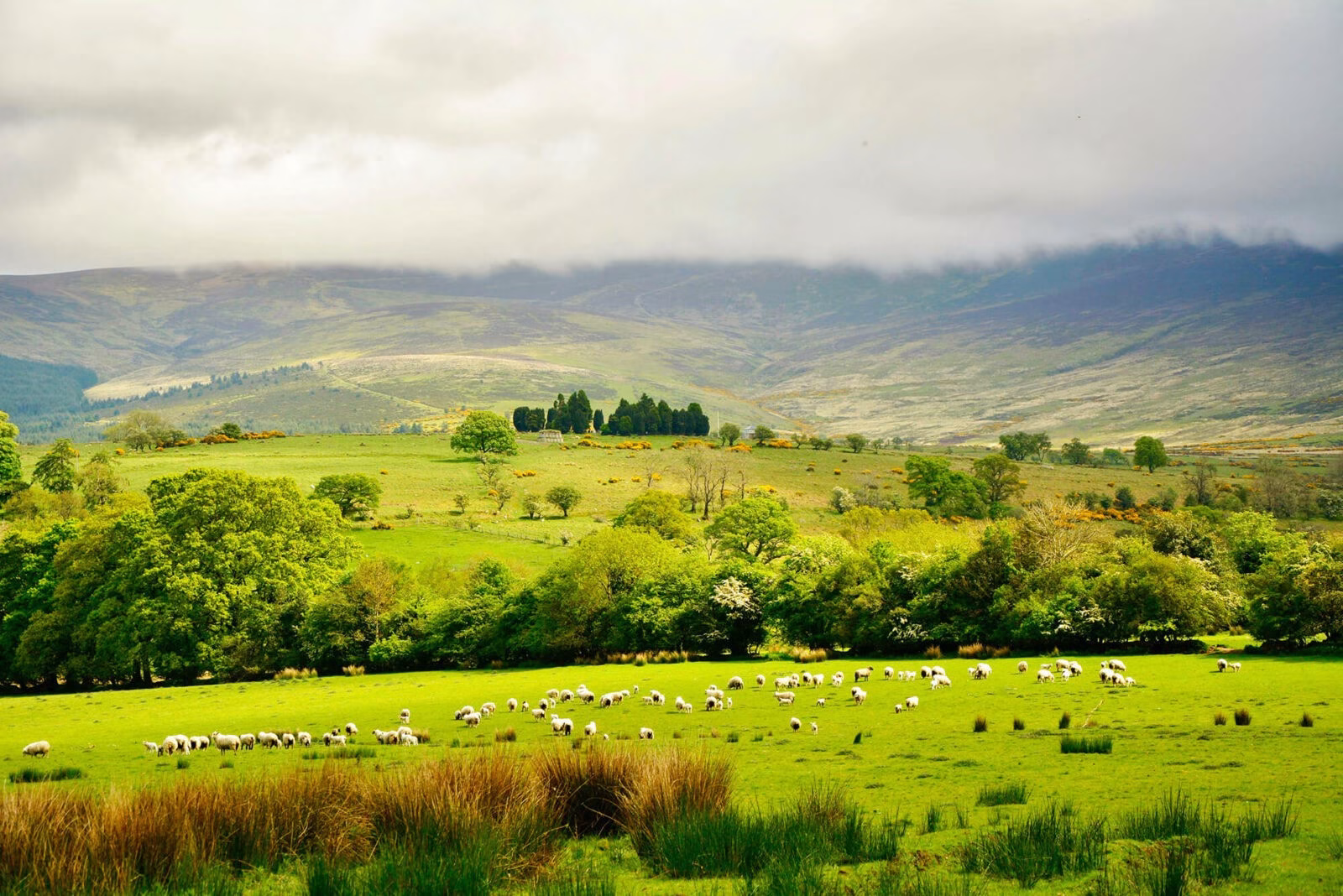 Why you need to visit places outside of Dublin!