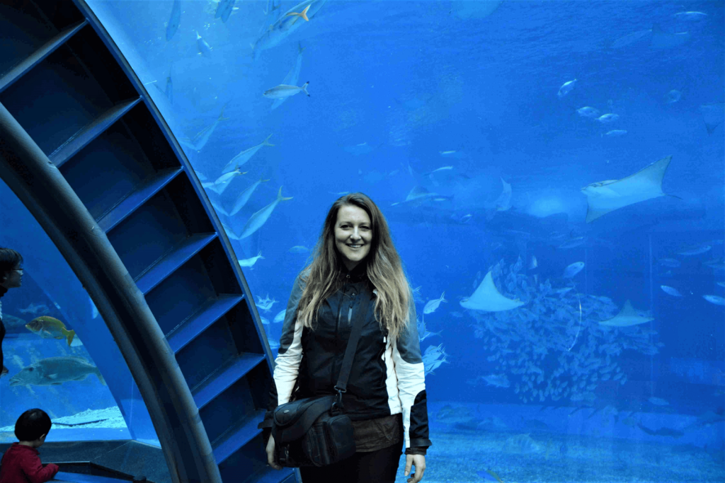 How to travel alone - Okinawa Churaumi Aquarium