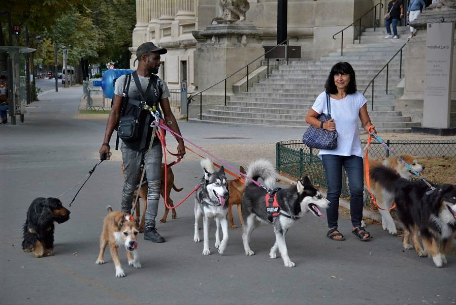 City of Love: A Comprehensive Paris Travel Guide