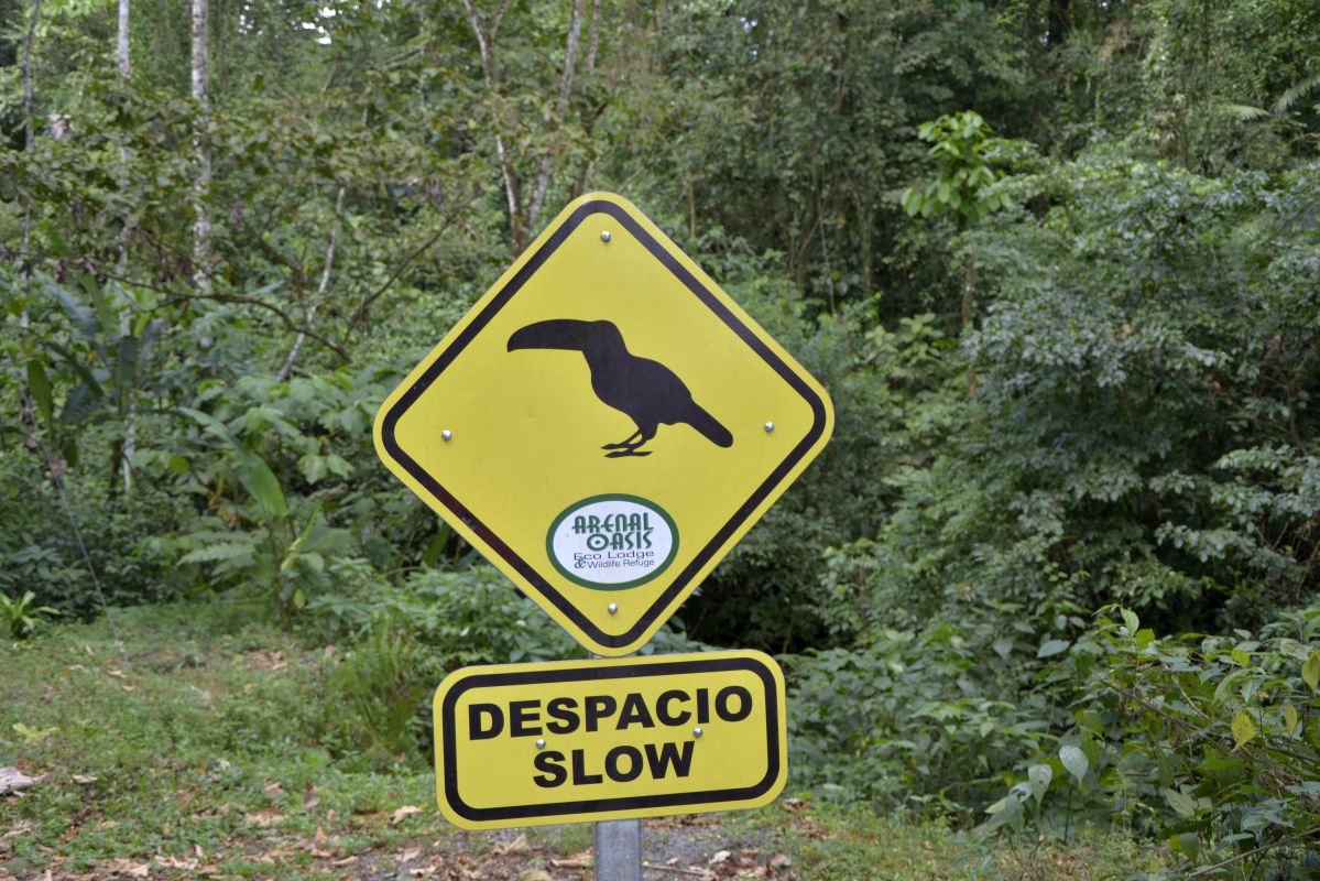 desppacio slow sign