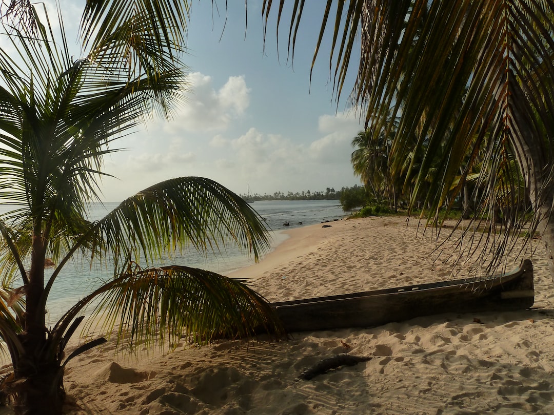 small beach surrounded with coconut tree
