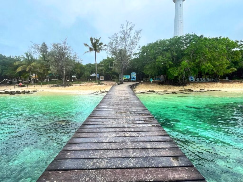 Escape to tropical paradise of New Caledonia – What to do in Amedee Island, the snake island.