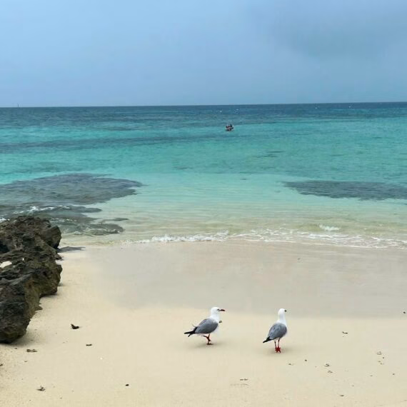 Tropical Island hooping in New Caledonia – Pacific paradise only 2 hours flight from Australia.