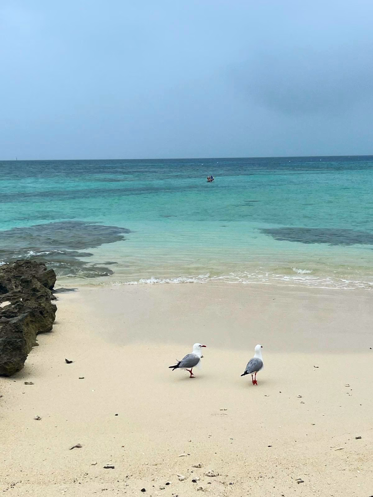 Island hopping in New Caledonia Pacific paradise.
