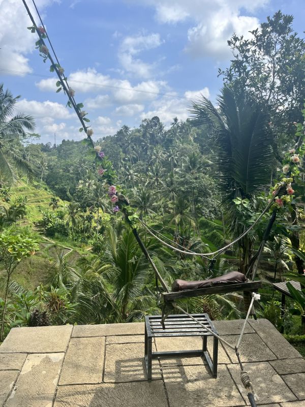 Unique itinerary of things to do in Ubud - Ceking rice terraces.