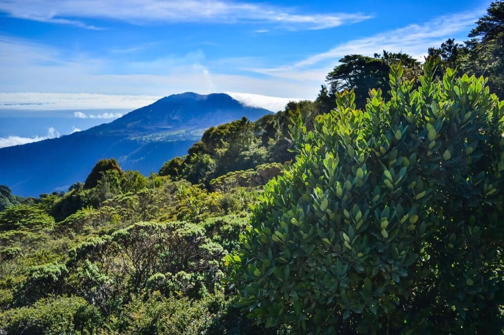 What to do in San Jose Costa Rica?