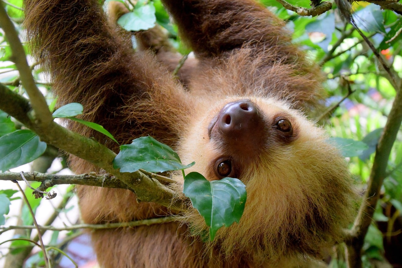 What to do in San Jose Costa Rica.