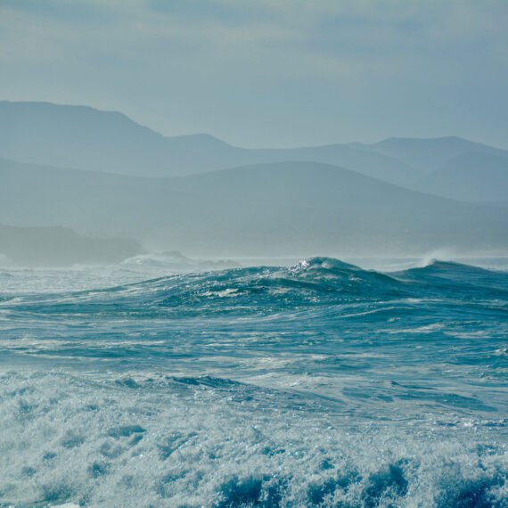 Discover best places and things to do in Fuerteventura