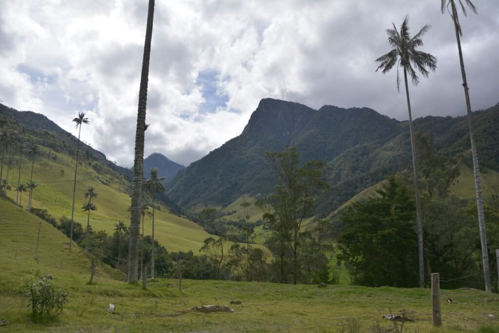 Cocora Valley - Is it safe to travel to Colombia?