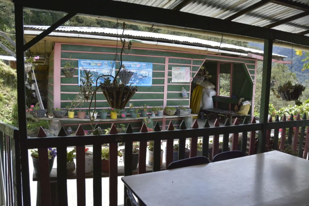 Full travel guide on hiking Cocora Valley from Salento in Colombian Andes.