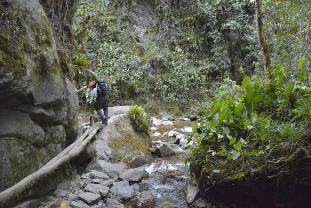 Full travel guide on hiking Cocora Valley from Salento in Colombian Andes.