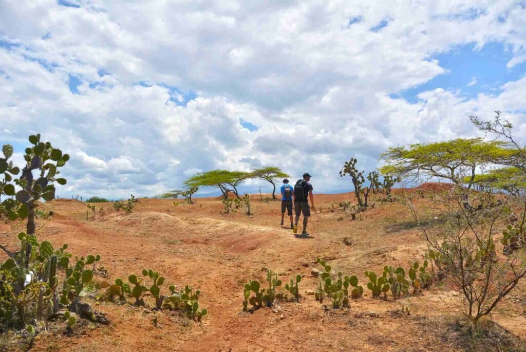 How to get to Tatacoa Desert in Colombia?