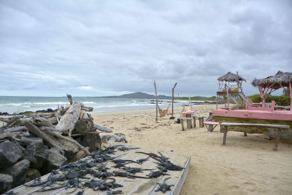 Things to do on Isabela Island
