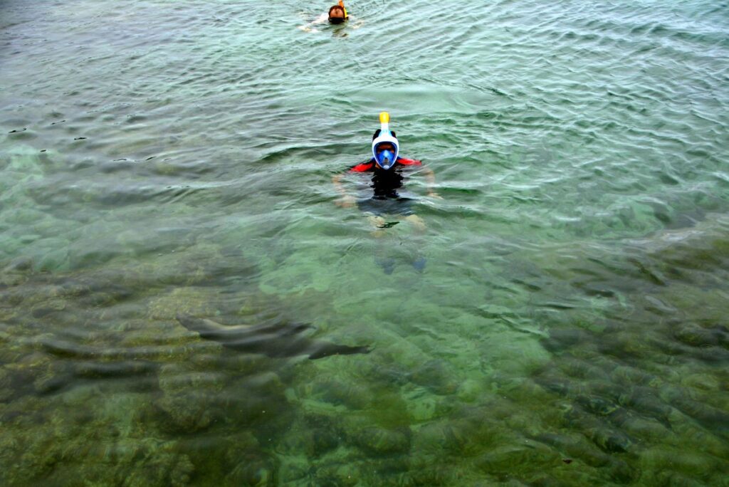 Things to do on Isabela Island