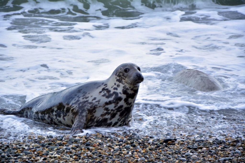 Wicklow - 10 best places to visit in Ireland