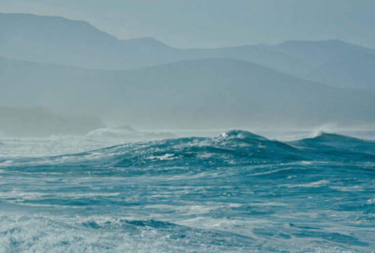 things to do on Fuerteventura.