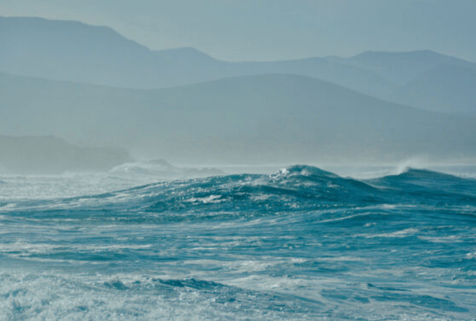 Untitled design - 2026-01-06T145617