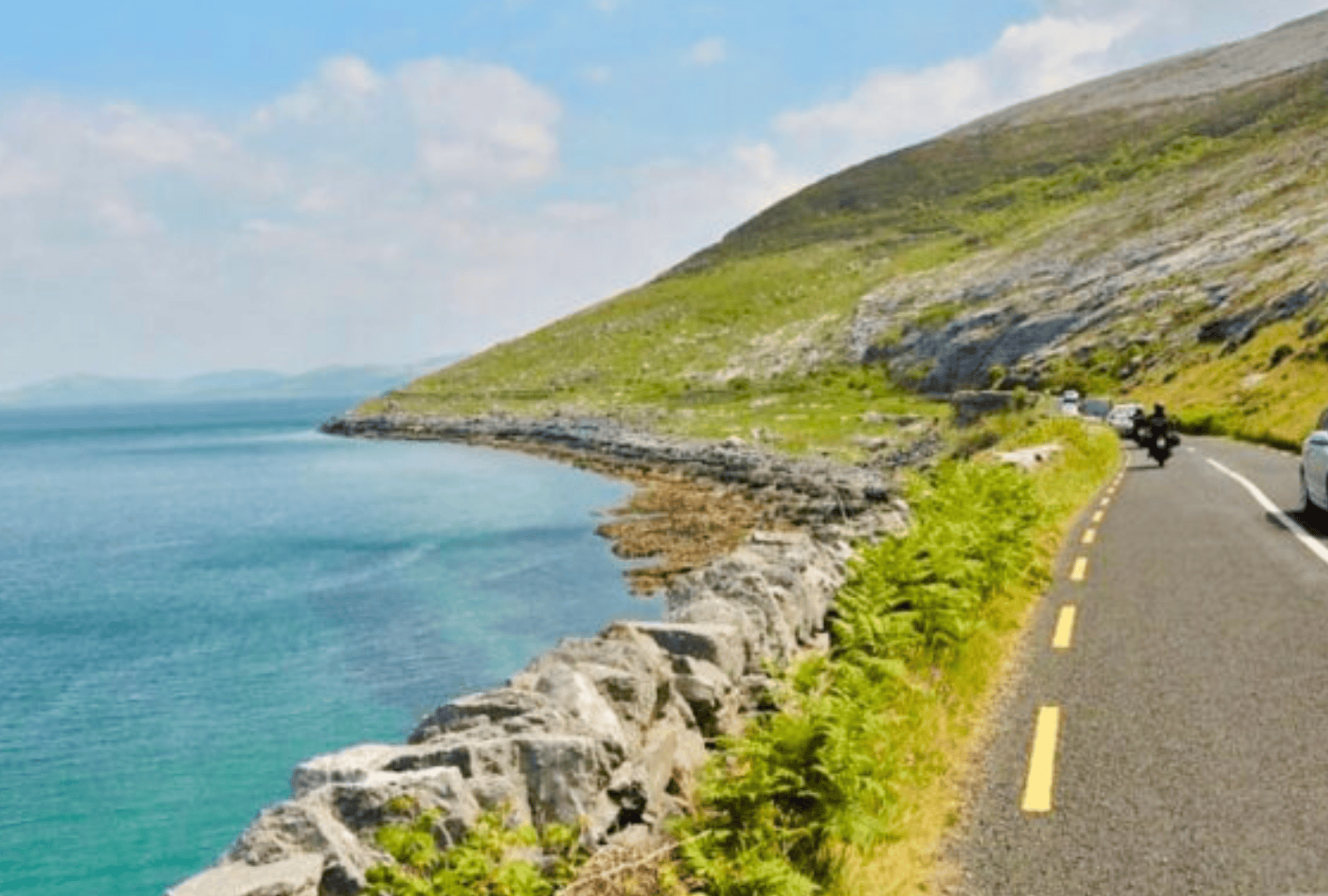 Untitled design - 2026-01-06T150534