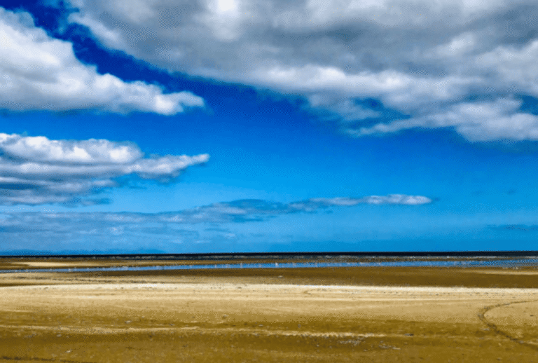 Swimming spots in Dublin