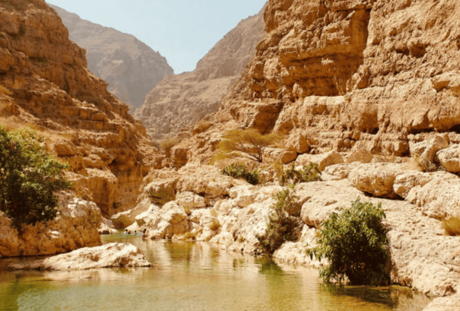 Untitled design - 2026-01-06T152601