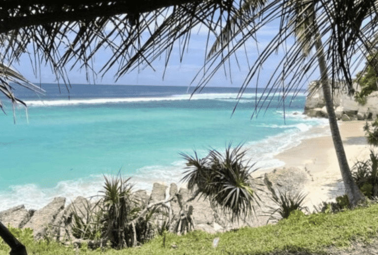 Untitled design - 2026-01-06T153819