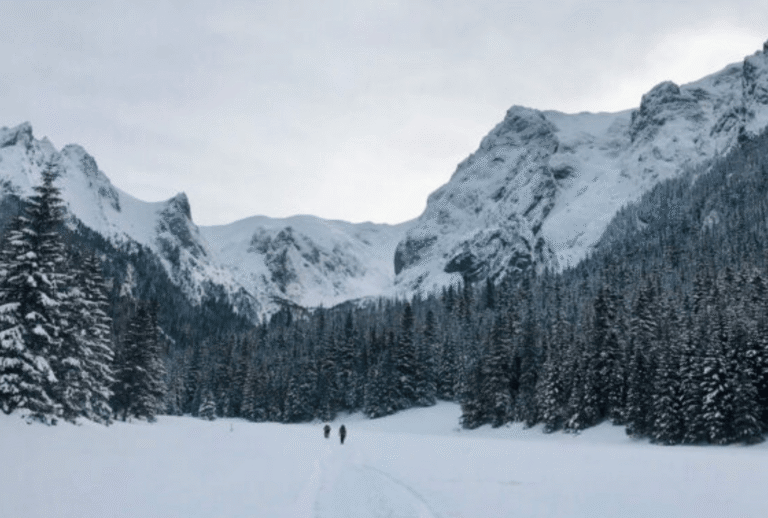 Untitled design - 2026-01-06T154943