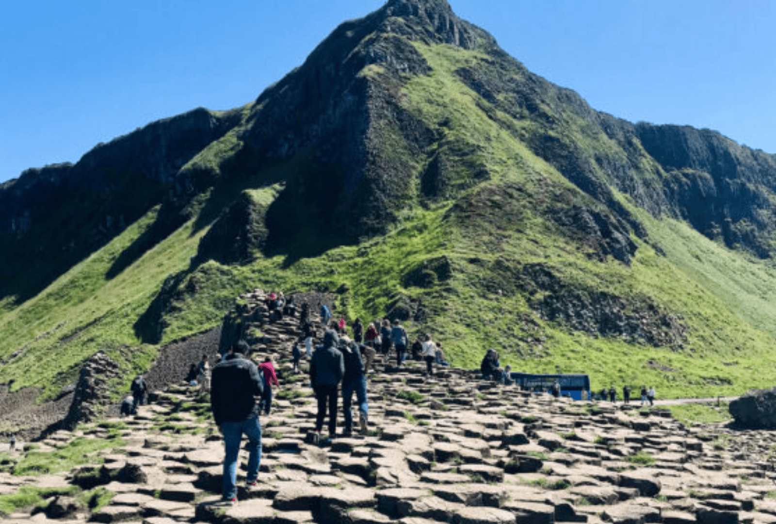 Untitled design - 2026-01-06T155051