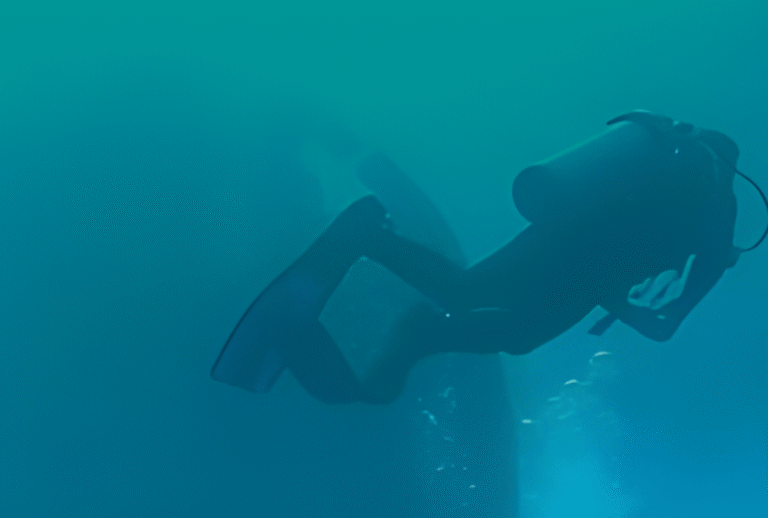 Untitled design - 2026-01-06T155713