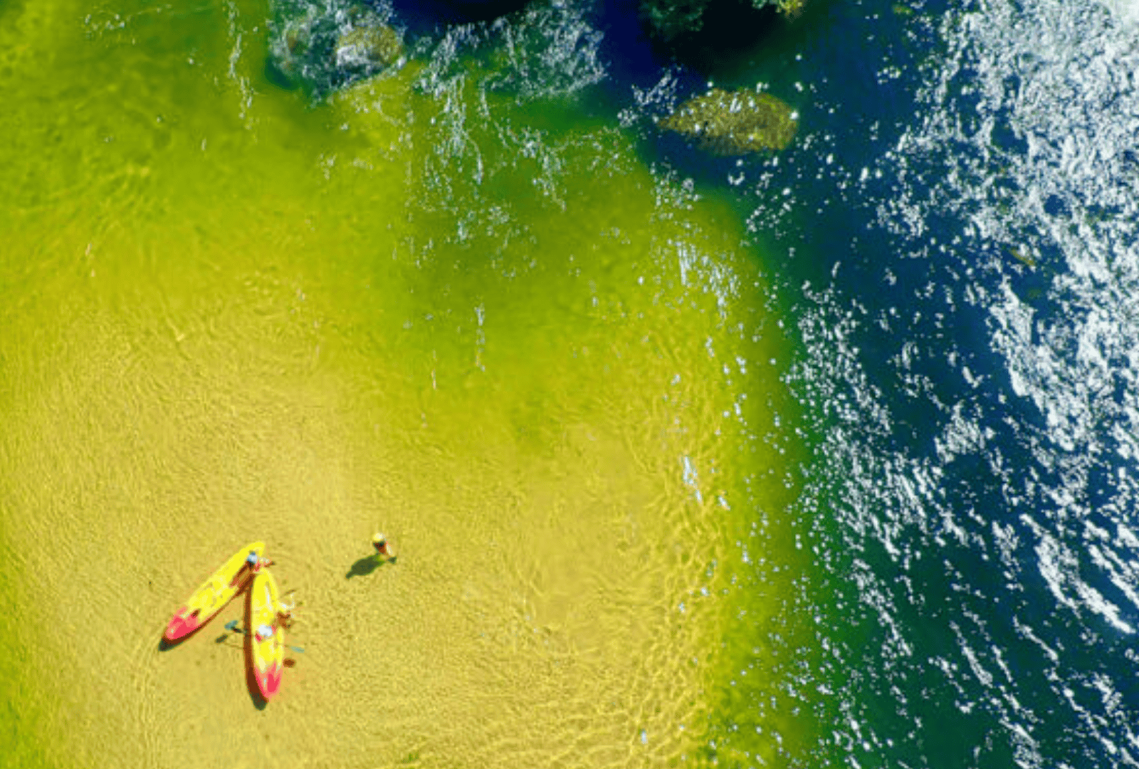 Untitled design - 2026-01-06T160803