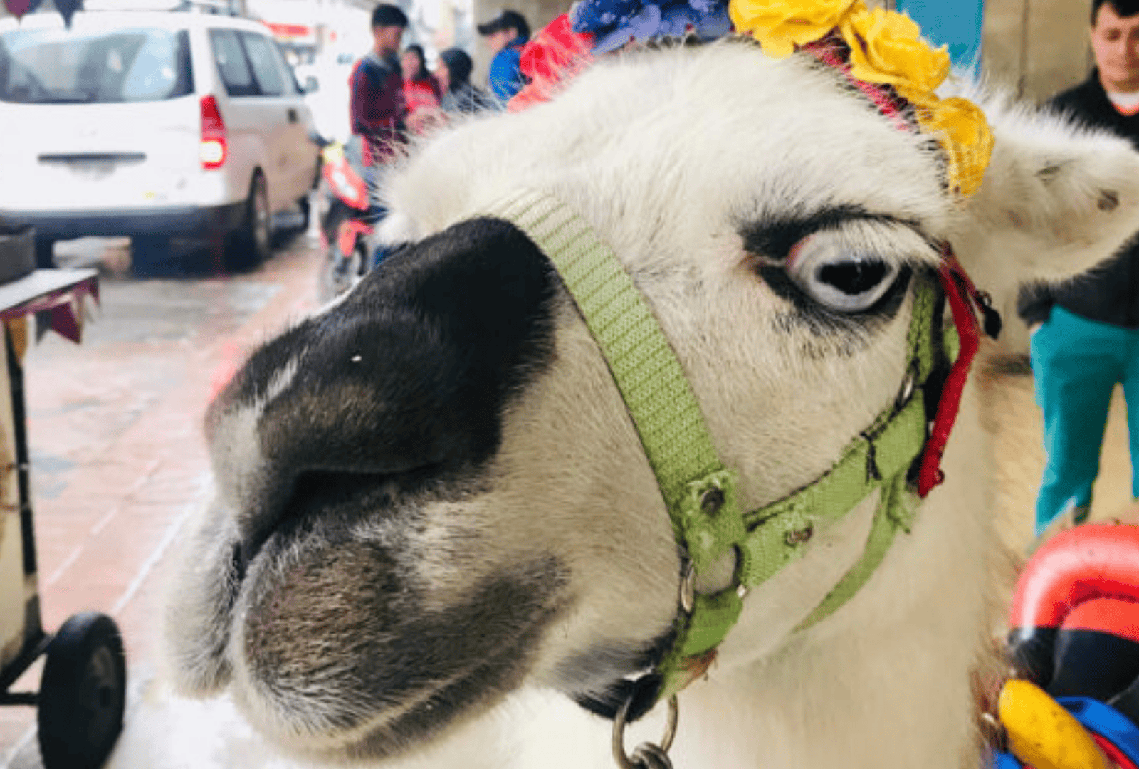 Untitled design - 2026-01-06T161834