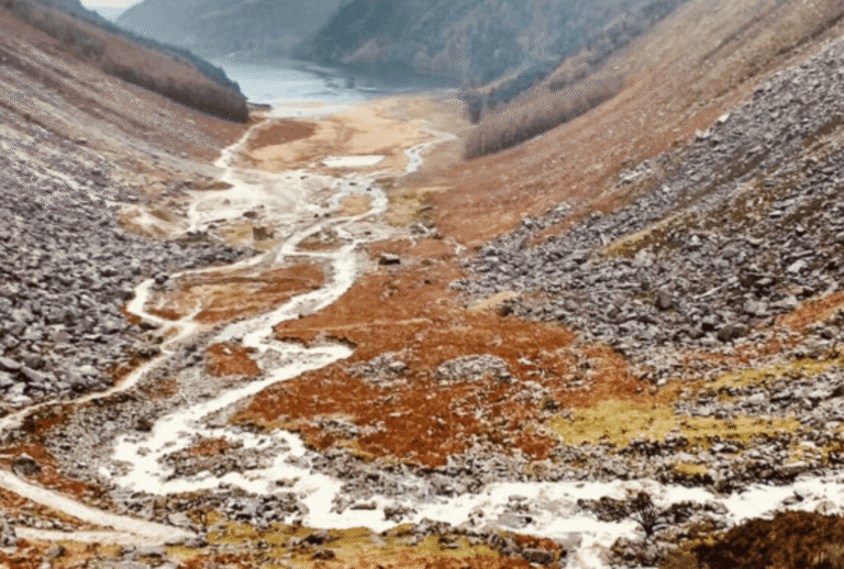 Untitled design - 2026-01-06T162818