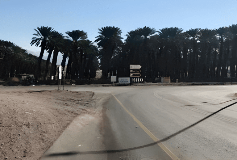 Untitled design - 2026-01-06T164302