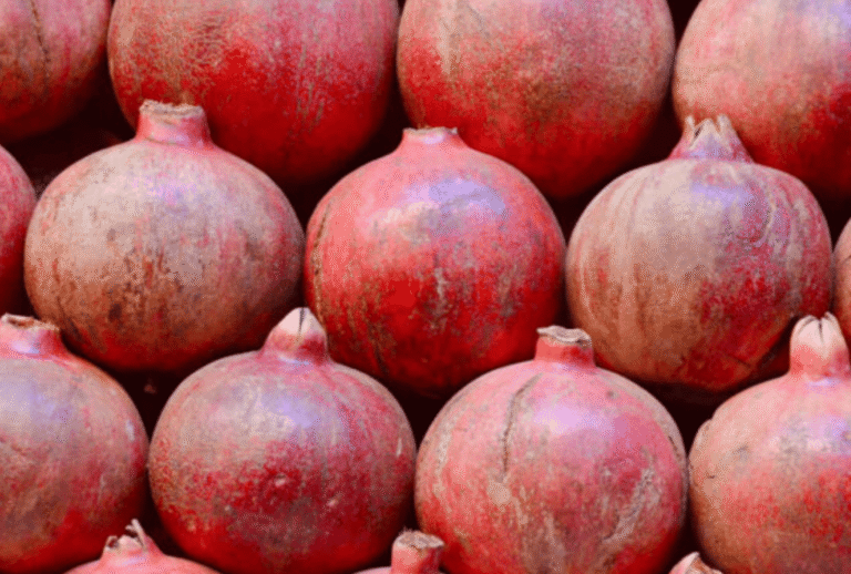 Untitled design - 2026-01-06T164523