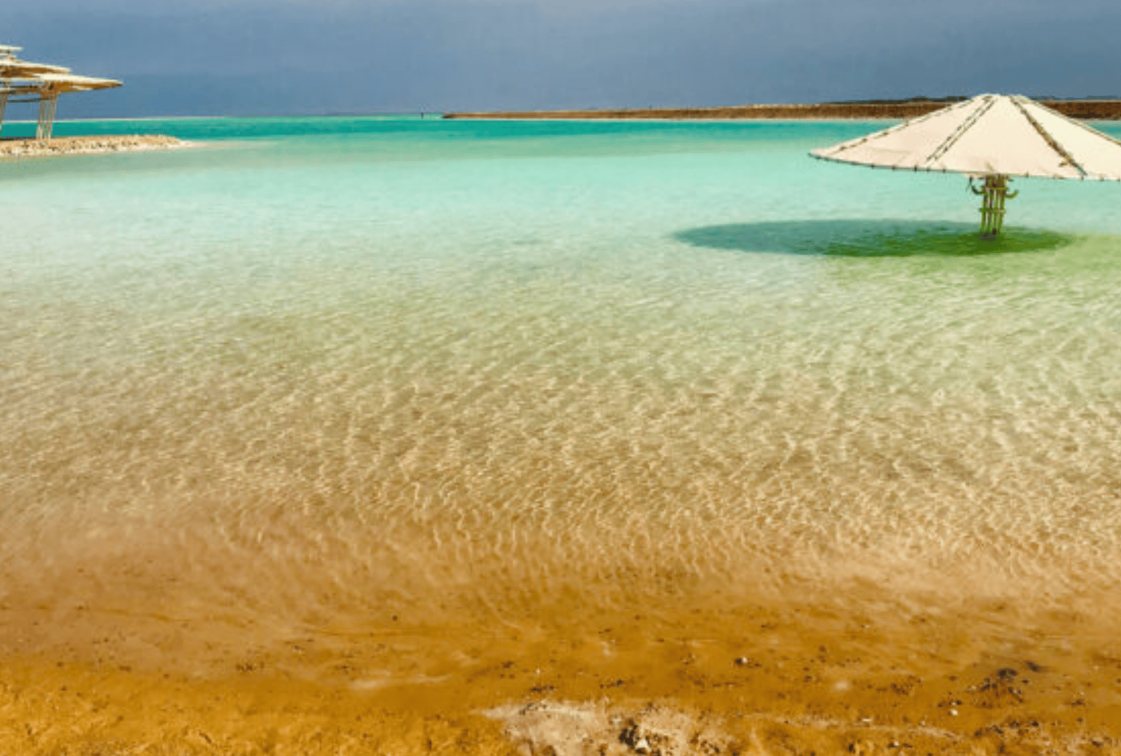 Untitled design - 2026-01-06T164816