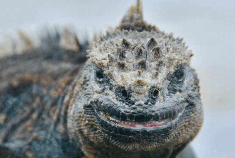 Untitled design - 2026-01-06T165647