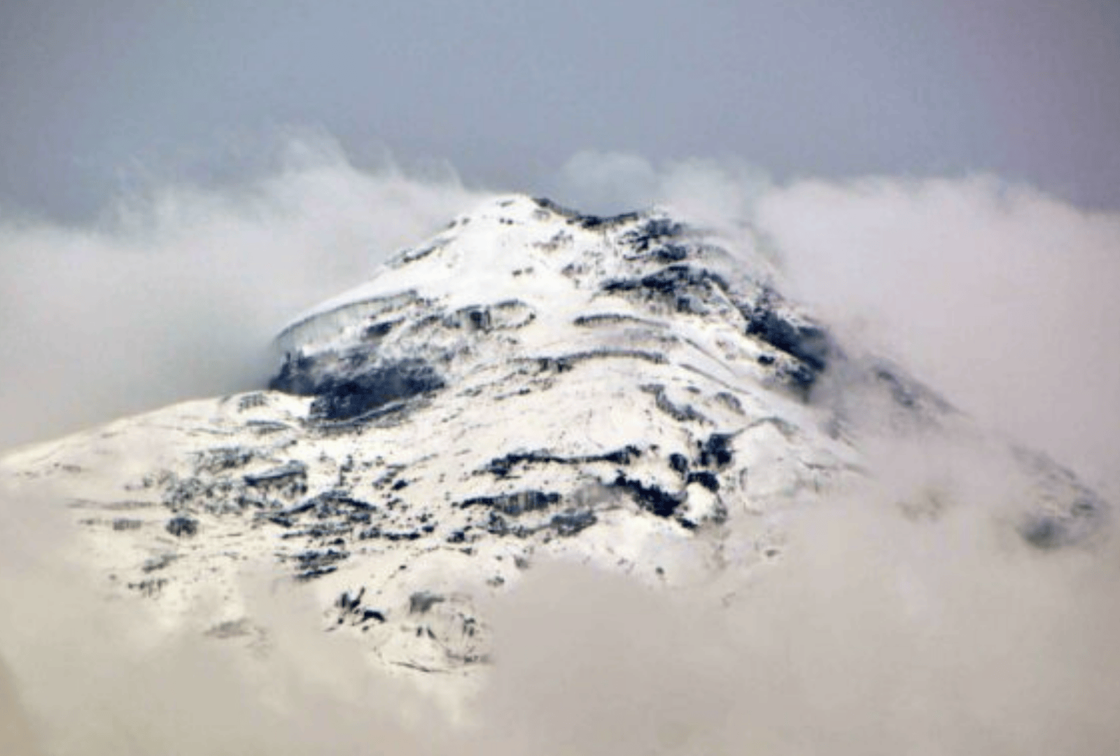 Untitled design - 2026-01-06T165749