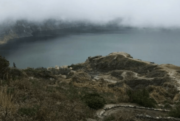 Untitled design - 2026-01-06T165937