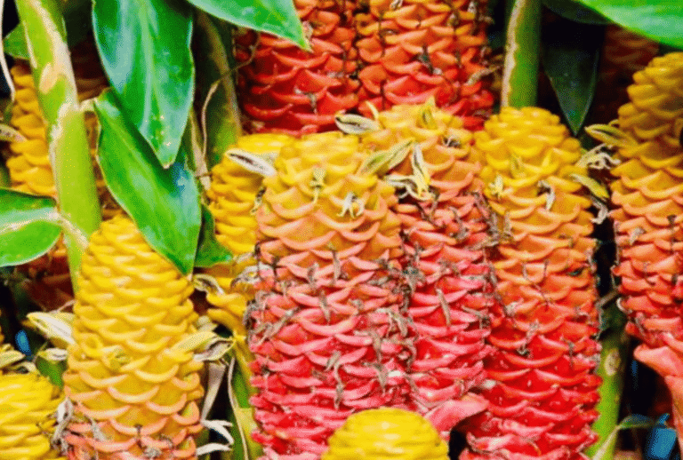 Untitled design - 2026-01-06T170134